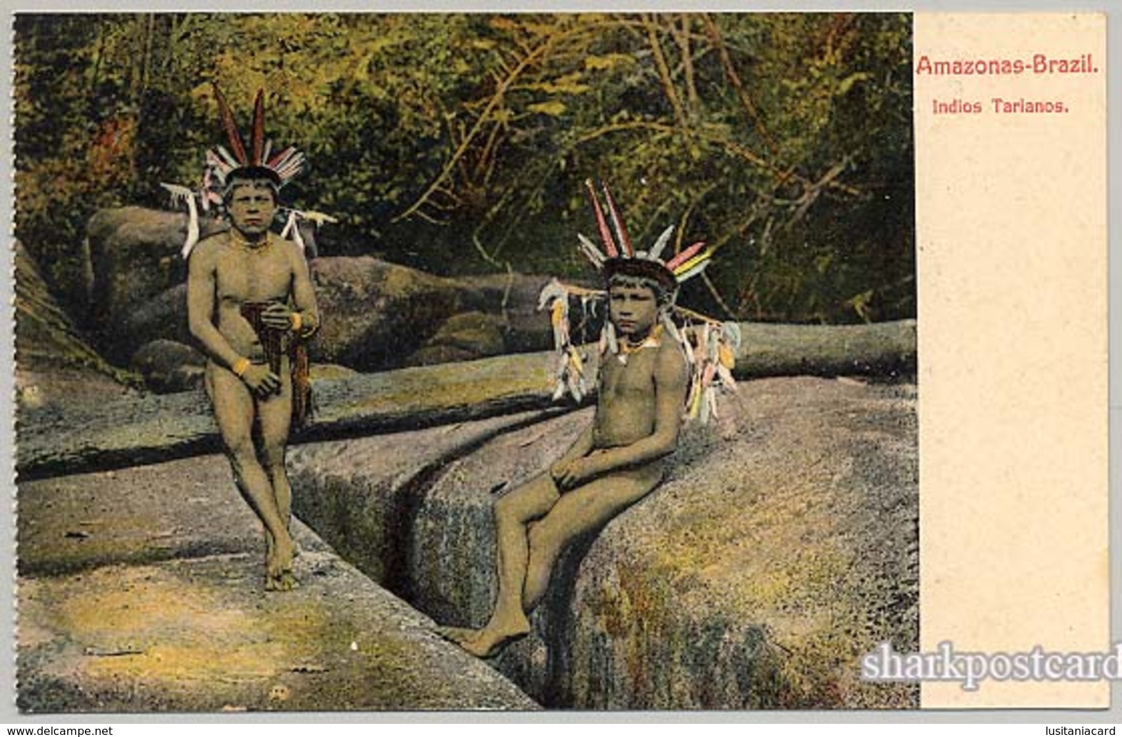 MANAUS - AMAZONAS - COSTUMES - Indios Tarianos Carte Postale - Manaus