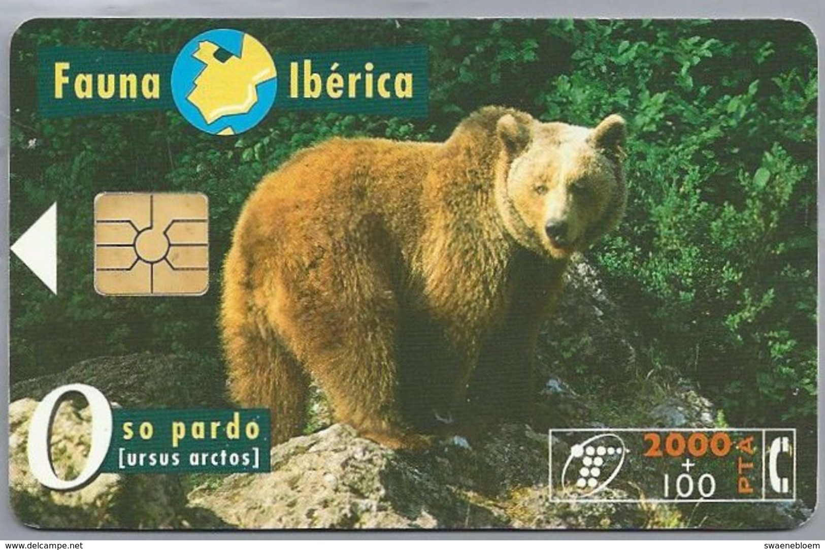 ES.- Telefonica De Espana. CabiTel. Oso Pardo. Ursus Arctos. Beer. Fauna Iberica. 2 Scans - Andere & Zonder Classificatie