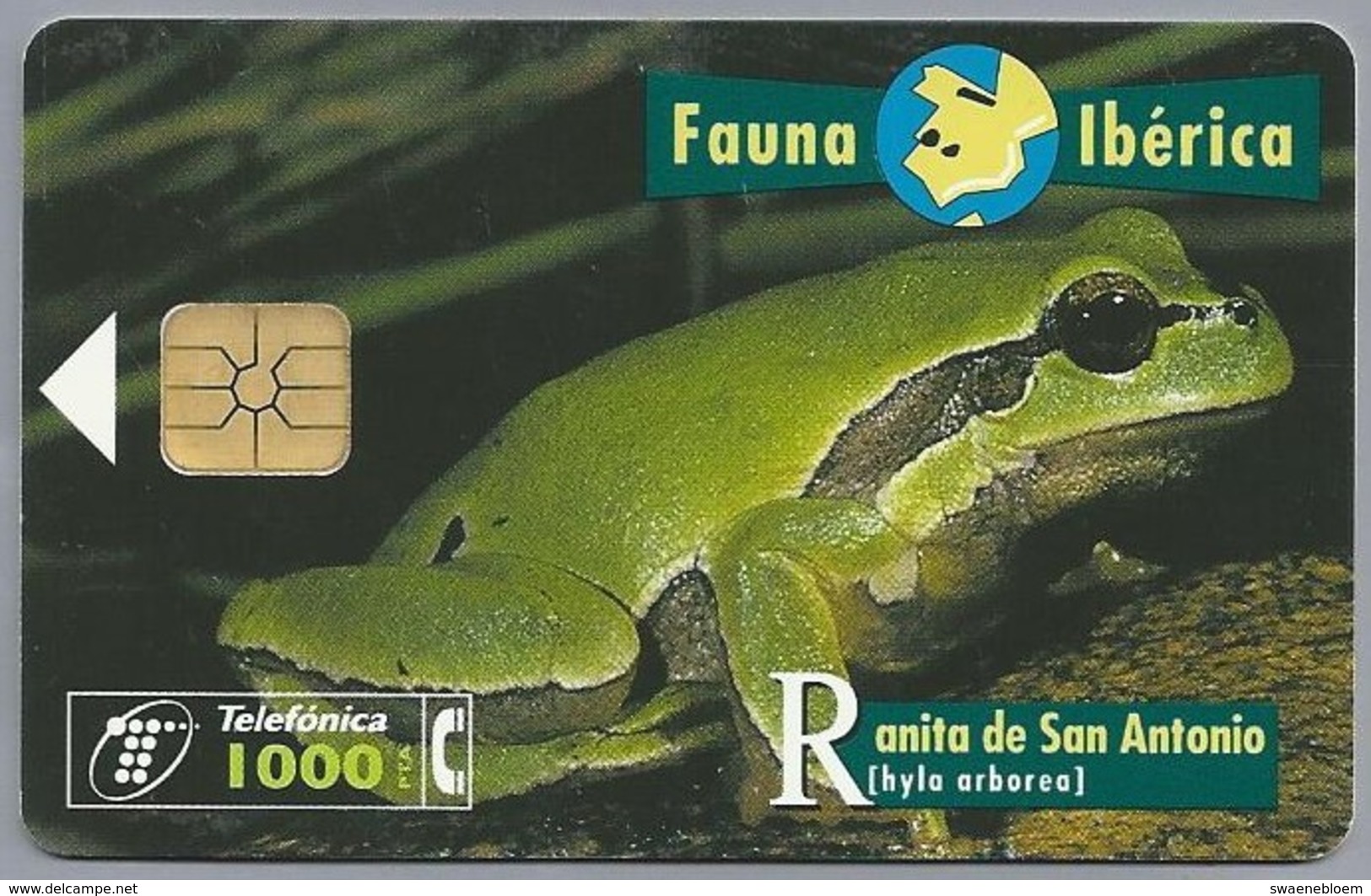 ES.- Telefonica De Espana. CabiTel. Ranita De San Antonio. Hyla Arborea. Boomkikker. Fauna Iberica. 2 Scans - Andere & Zonder Classificatie