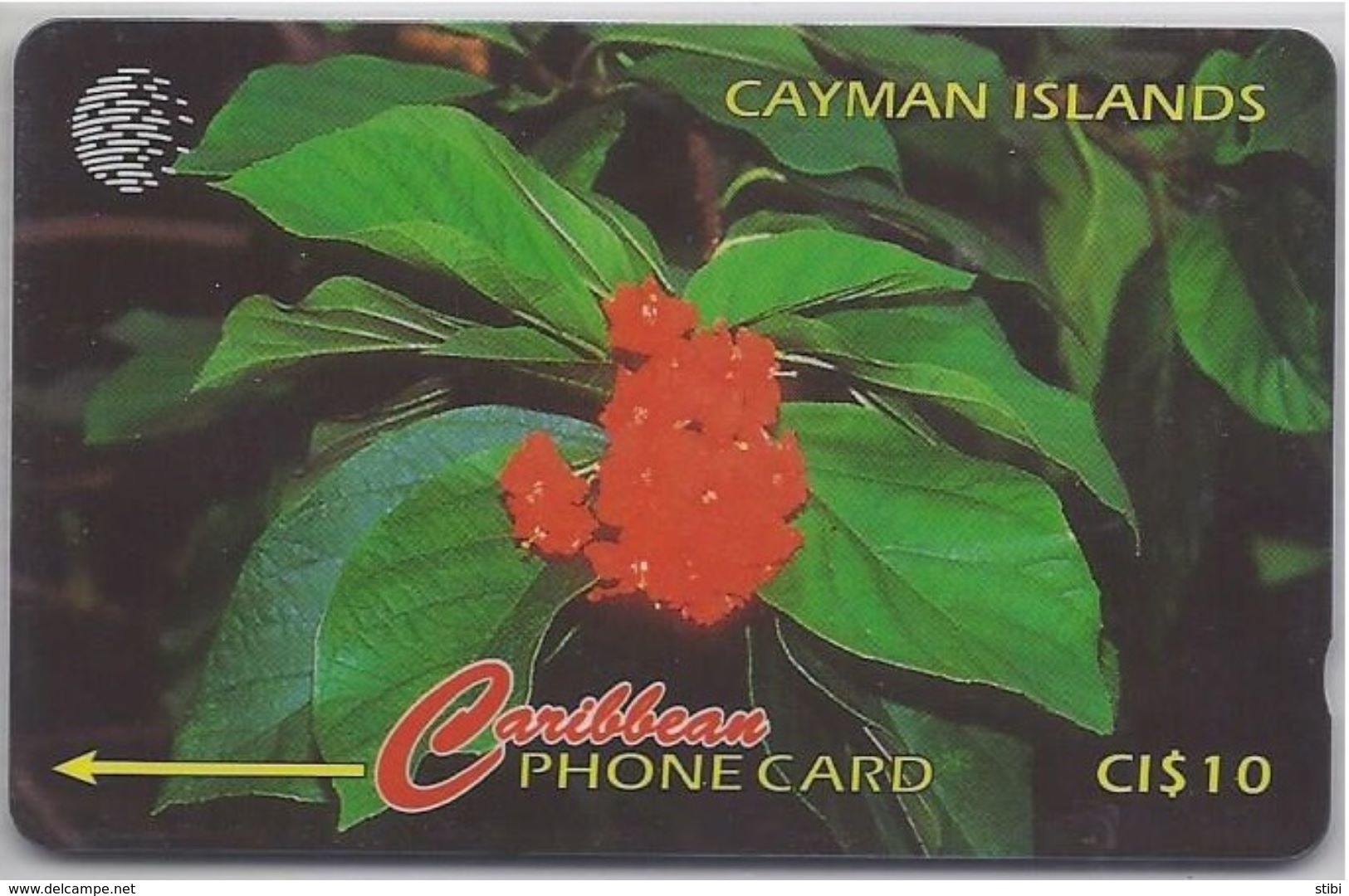 CAYMAN ISLANDS - BROADLEAR FLOWER - 94CCIB - Kaaimaneilanden