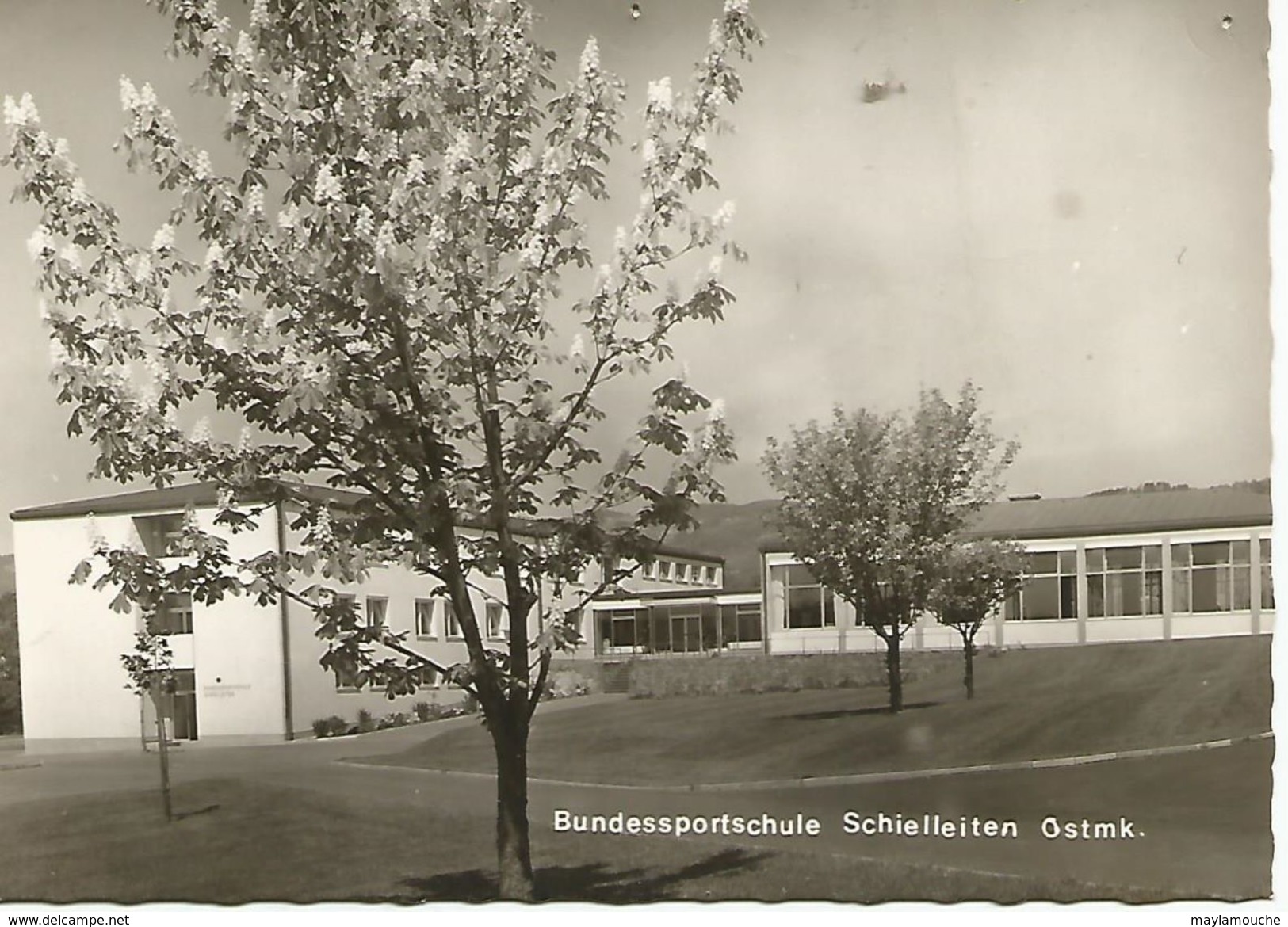 Bundessportschule Schielleiten Ostmk - Fürstenfeld