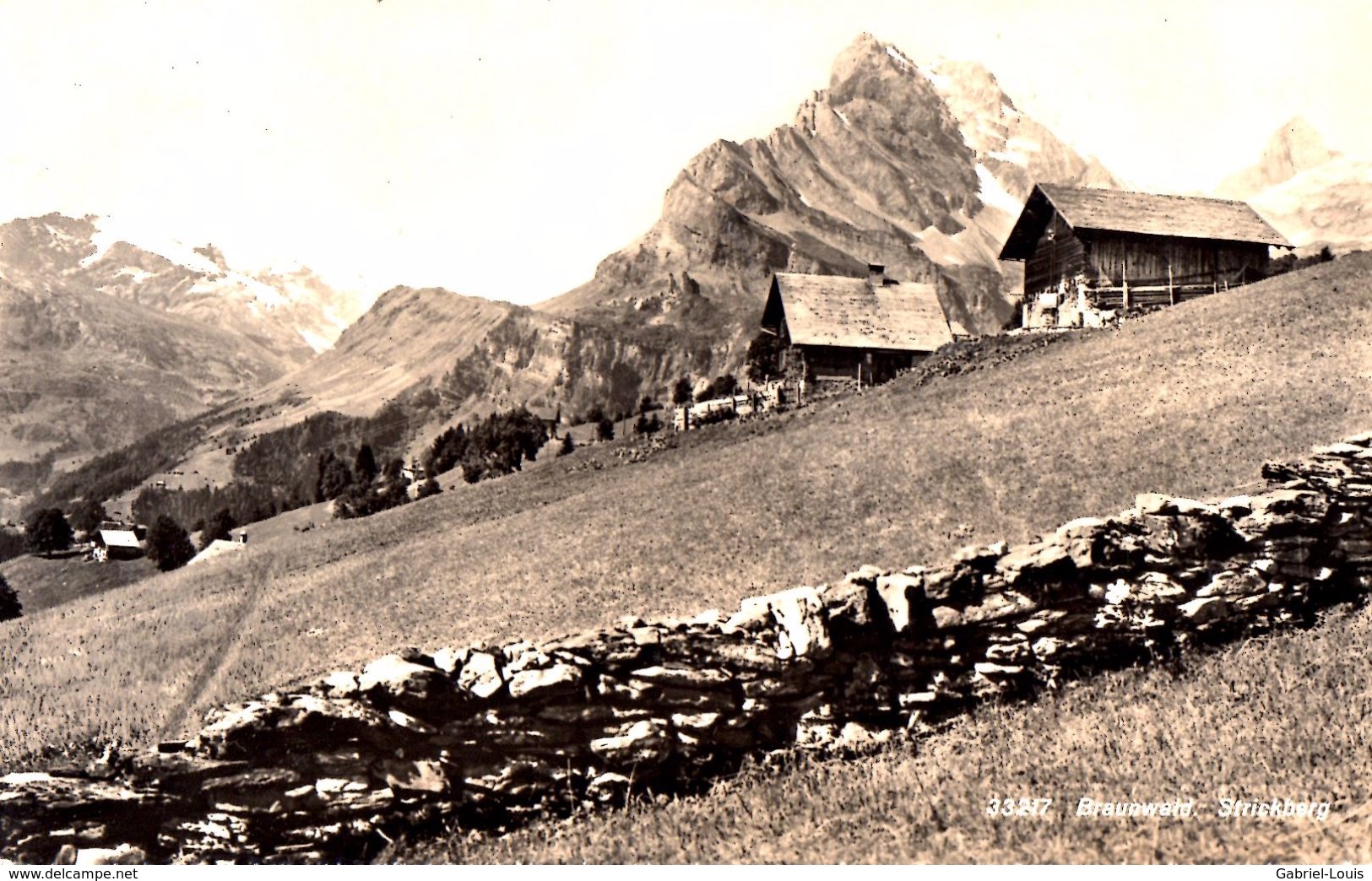 Braunwald Strickberg - Wald