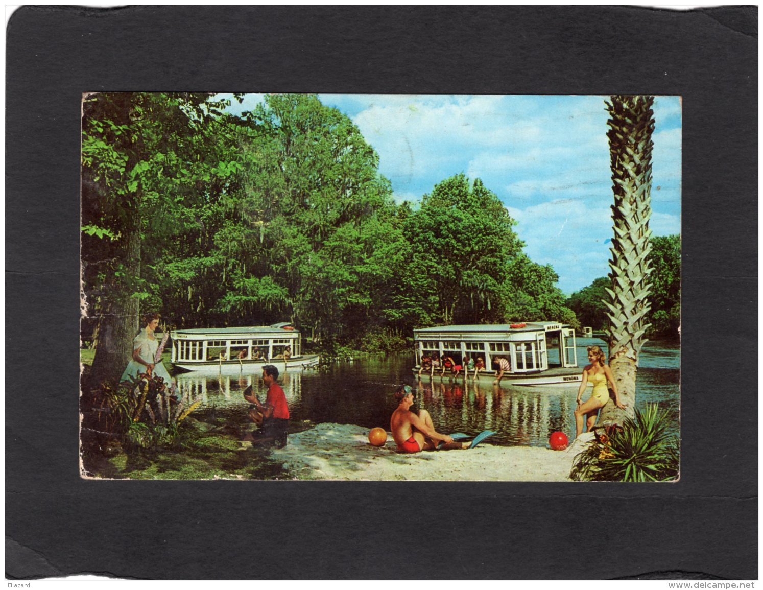 74397     Stati  Uniti,   The  Florida"s   Silver  Springs,  VGSB  1964 - Silver Springs