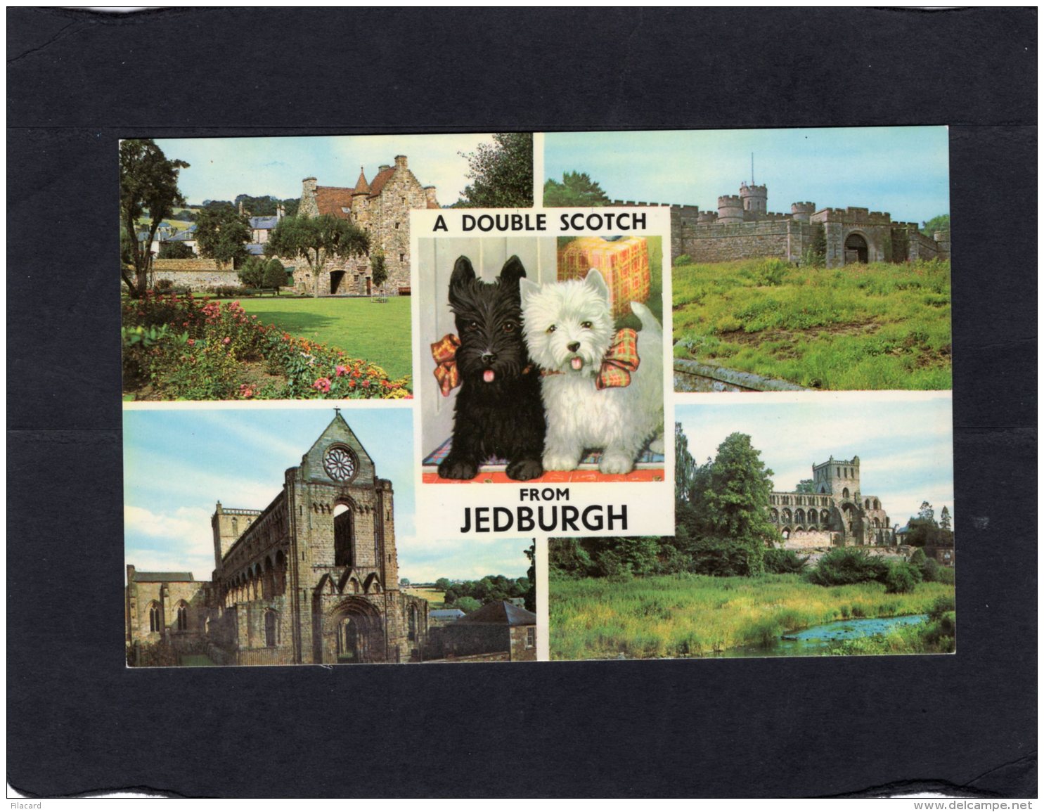 74415   Regno  Unito, Scozia,  A Double Scotch From  Jedburgh,  NV(scritta) - Roxburghshire