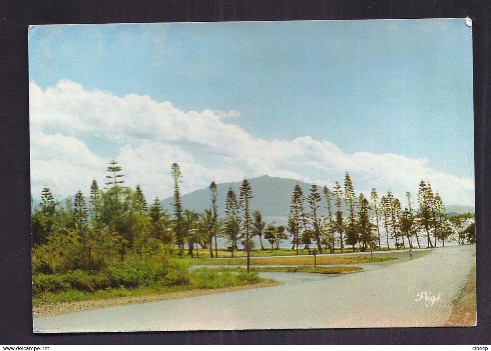 CPSM NOUVELLE CALEDONIE - NOUMEA : Le Mont Dore Ou De MAGENTA - TB PLAN MONTAGNE Avec Arbres 1er Plan - Nouvelle Calédonie