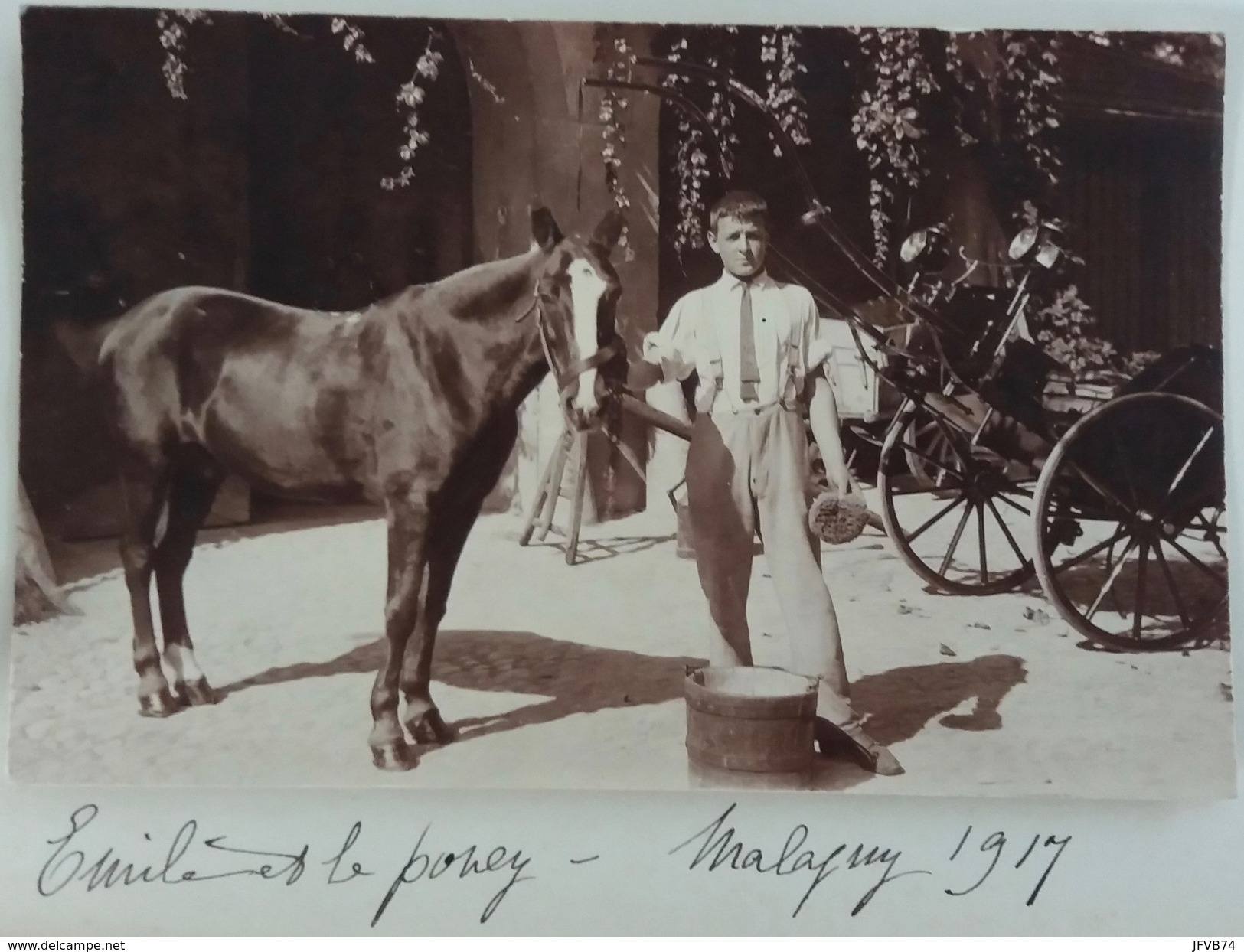 CPA Photographie Photography Emile Et Le Poney Malagny Genthod 1917 - Genthod