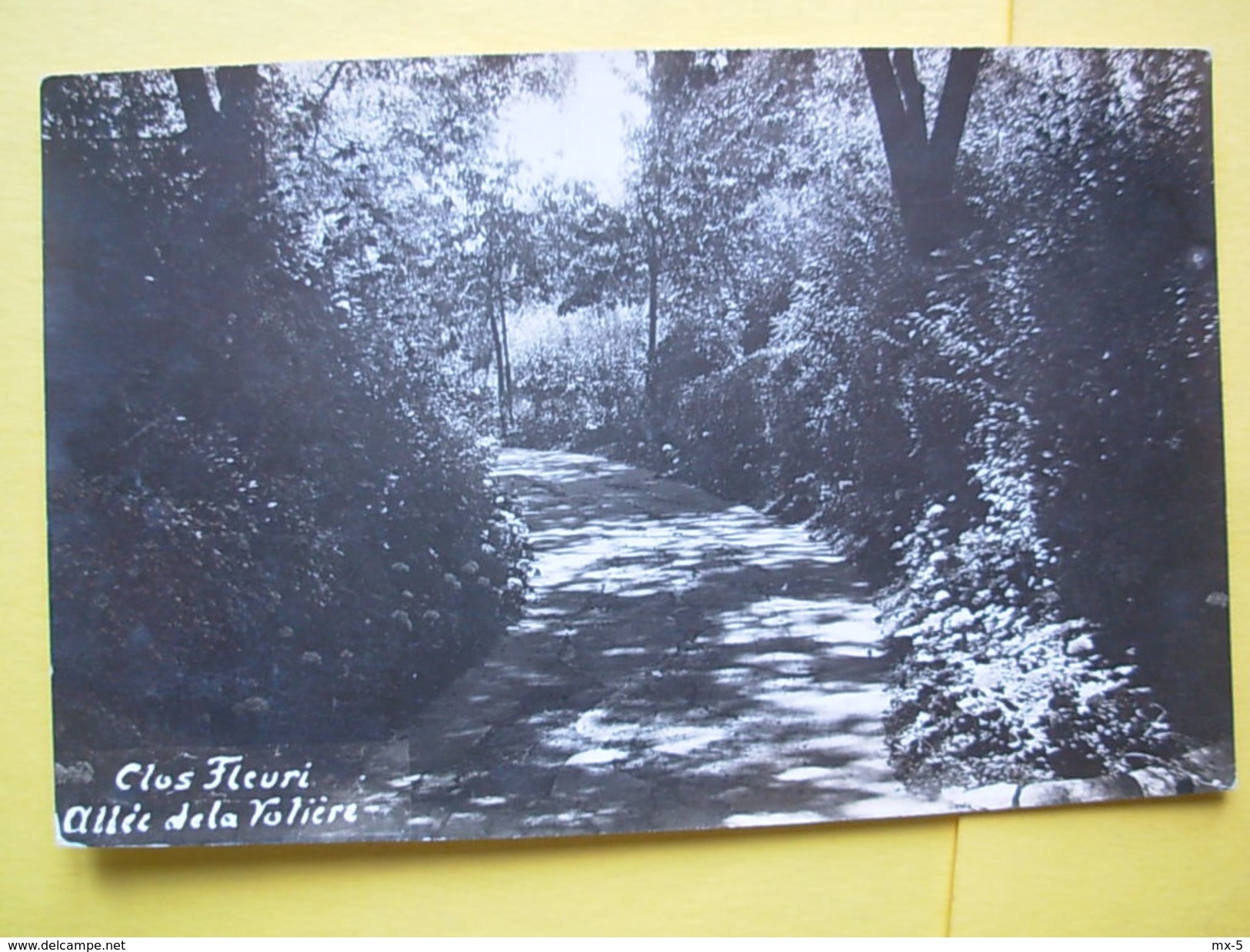 L'Isle Jourdain ,le Clos Fleuri,allée De La Voliere ,carte Photo - L'Isle Jourdain