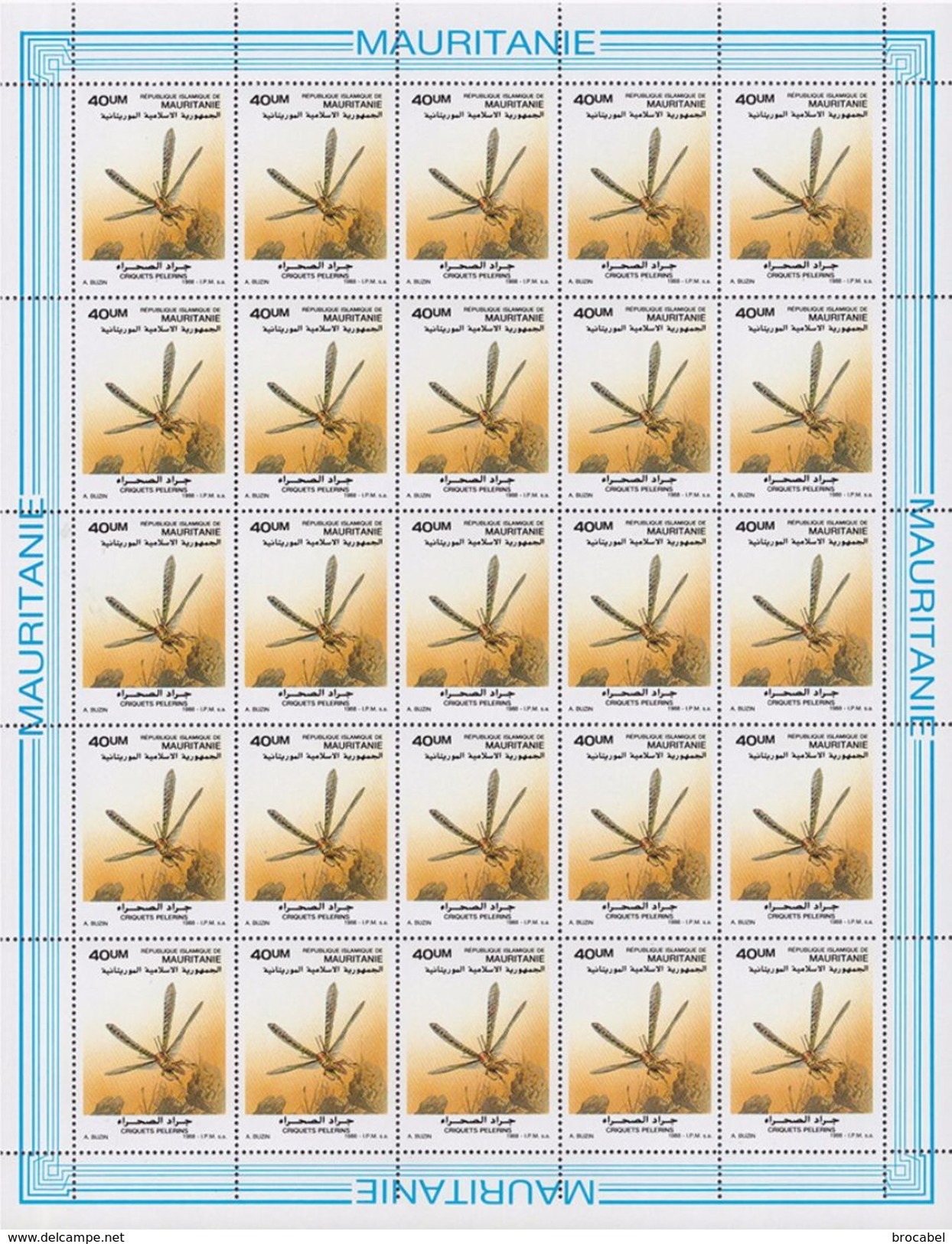 Mauritanie 06..** - Criquets Pelerins - Full Sheet De 25 -Dessin De Buzin -MNH - - Mauritanie (1960-...)