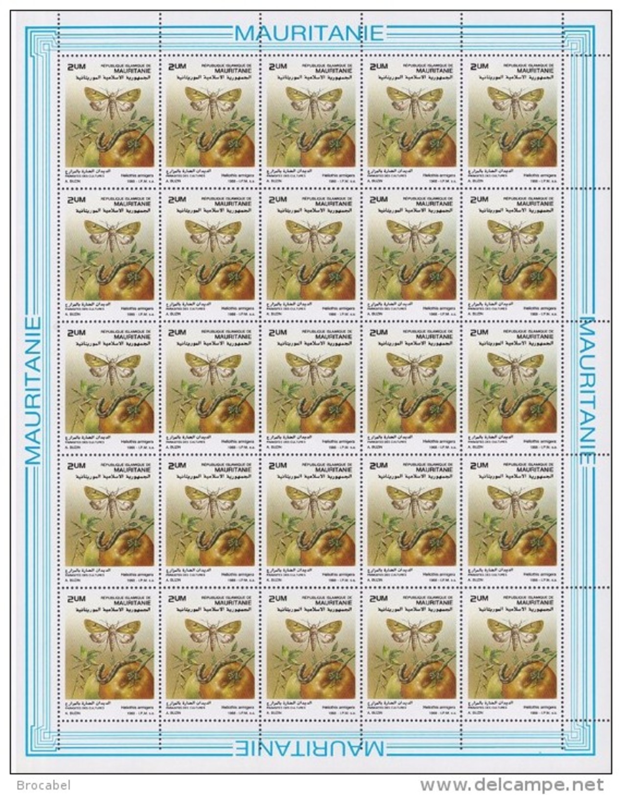 Mauritanie 0616** - Parasites Des Cultures - Full Sheet De 25 -Dessin De Buzin -MNH - - Mauritanie (1960-...)