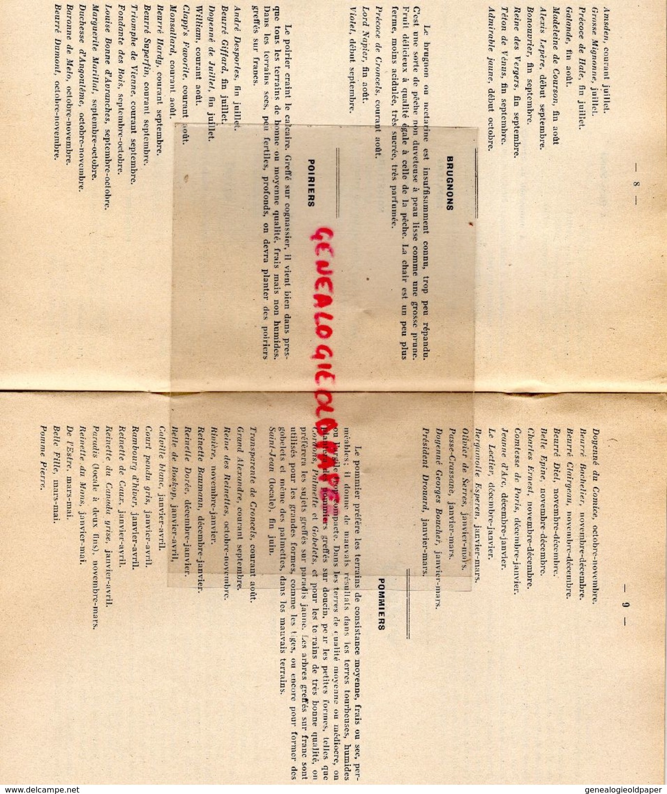 87-ST SAINT JUNIEN-RARE CATALOGUE DEGLANE DESBORDES-HORTICULTURE PEPINIERES-1938-1939-IMPRIMERIE DUBOUCHET ROCHECHOUART