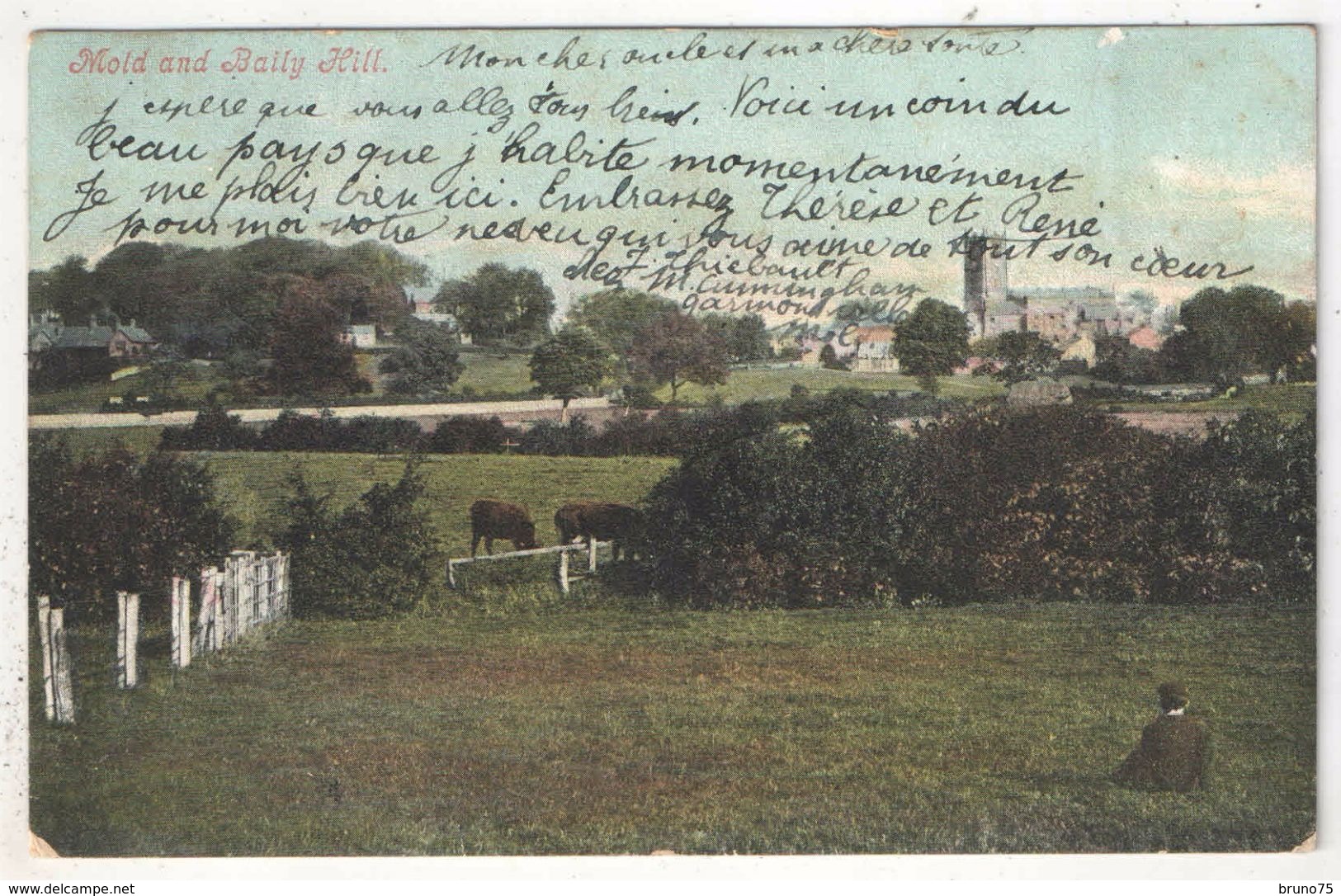 MOLD And Baily Hill - Flintshire