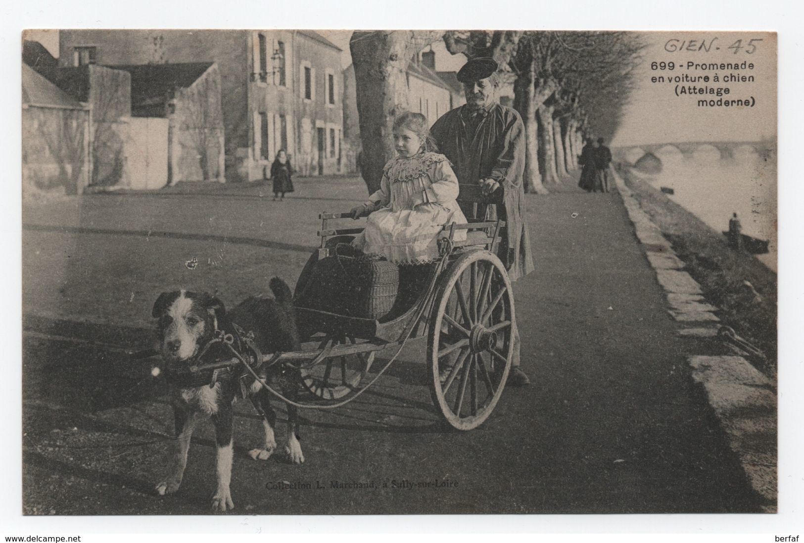 GIEN (Loiret) - Promenade En Voiture à Chien - Attelage De Chiens Moderne - Beau Plan - TTB. Voyagée.N°699 - Gien