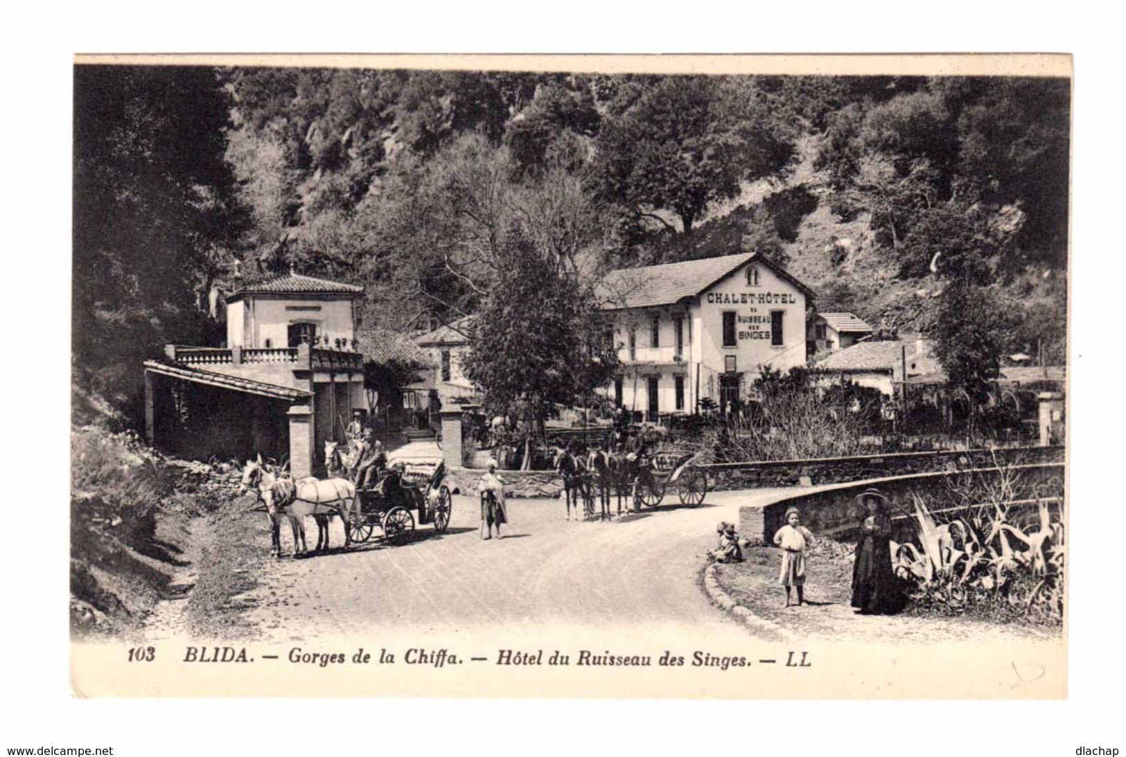 Blida. Gorges De La Chiffa. Hôtel Du Ruisseau Des Singes. Avec Caléches Attelées. (2192) - Blida