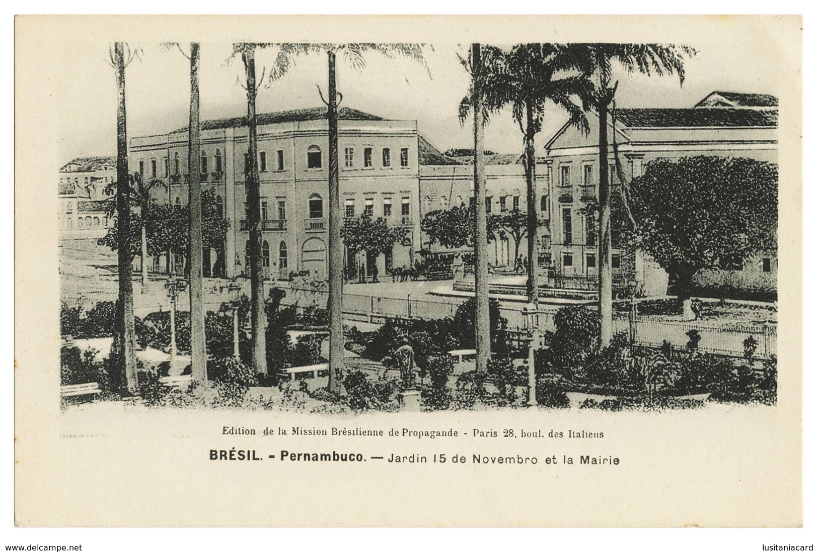 PERNAMBUCO - Jardim 15 De Novembro Ey La Mairie. ( Ed. Missão Brasileira De Propaganda) Carte Postale - Recife