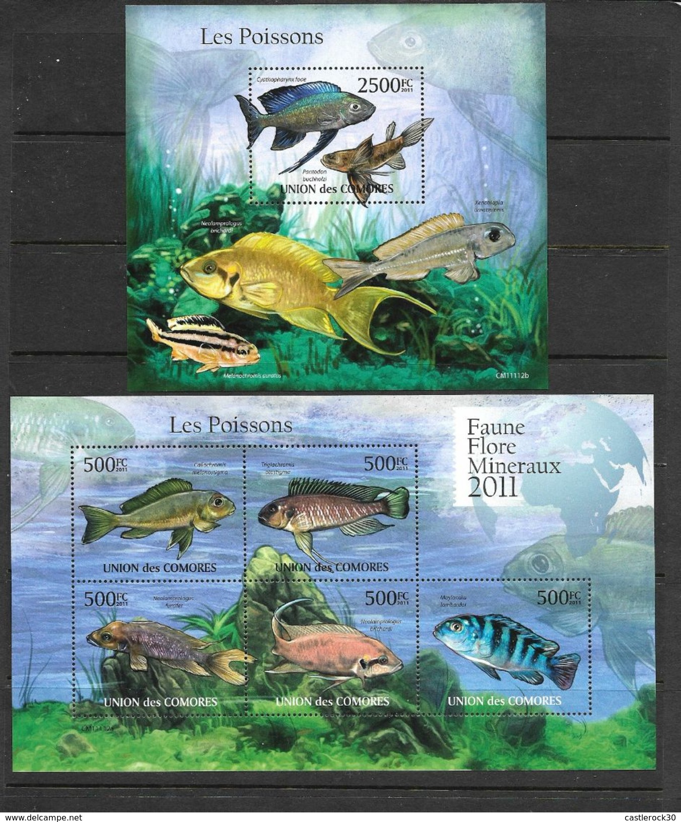 O) 2011 COMOROS, POISONOUS FISHES - POISSONS, CYATHOPHARYNX-PANTODON-NEOLAMPROLOGUS-XENOTILAPIA-MELANOCHROMIS, MNH - Mozambique