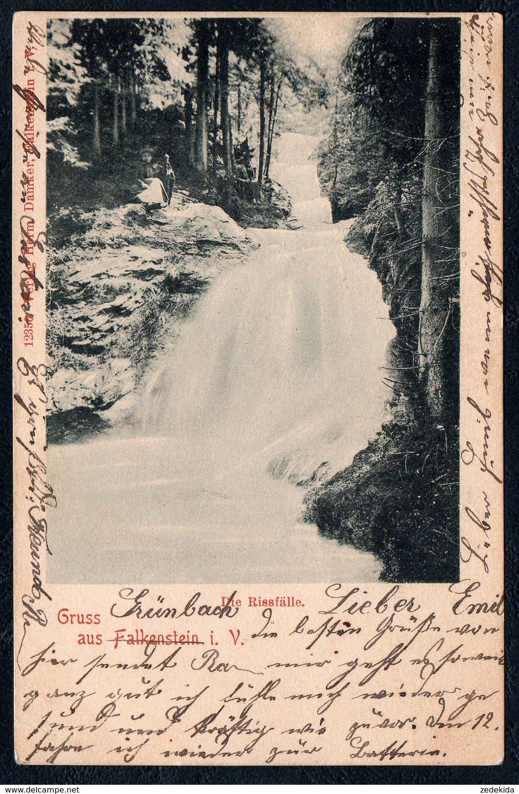 A9668 - Gruß Aus Falkenstein Rissfälle - Gel 1902 - Damker - Falkenstein (Vogtland)