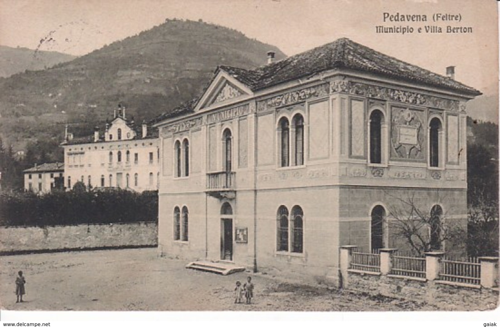 R859 PEDAVENA (FELTRE) - MUNICIPIO E VILLA BERTON - Belluno