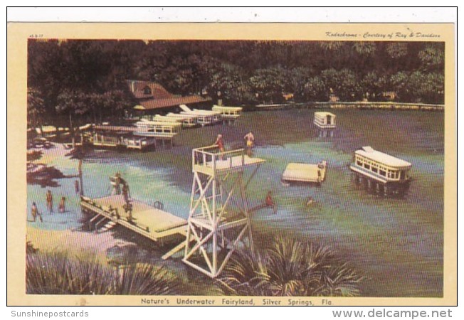 Florida Silver Springs Electric Glass Bottom Boats Dexter Press - Silver Springs