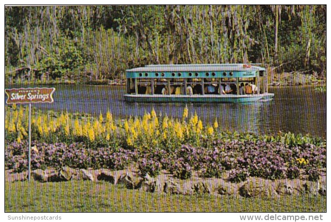 Florida Silver Springs Glass Bottom Boat - Silver Springs