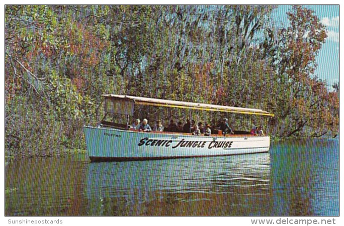 Florida Silver Springs Scenic Jungle Cruise Down Silver River - Silver Springs