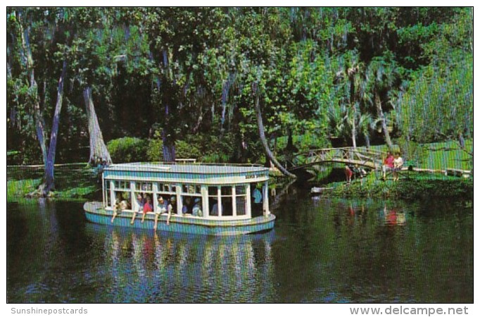 Florida Silver Springs Feeding Fish From Glass Bottom Boat - Silver Springs