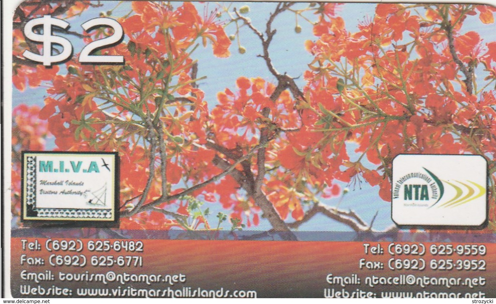 Marshall Islands - Flame Tree - Marshall Islands