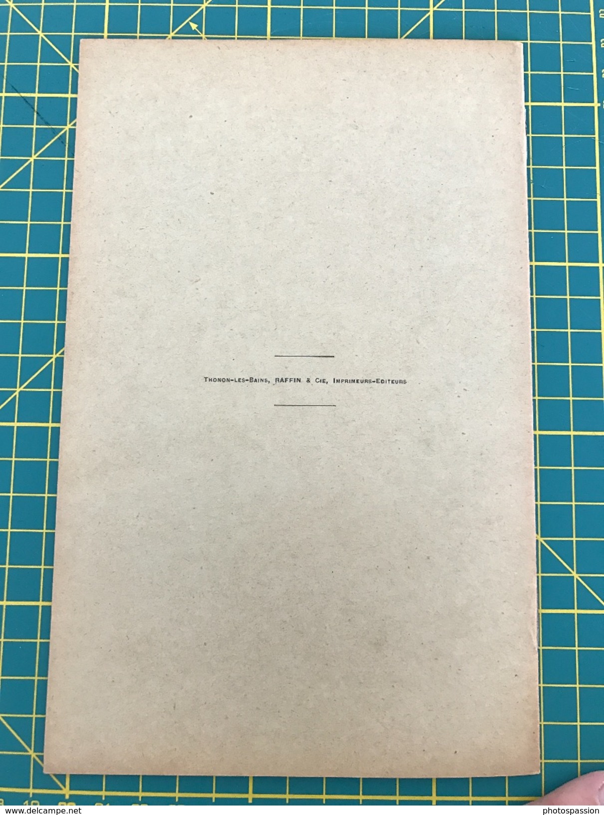 Les Lignes Françaises D'accès Au Tunnel Du Simplon - Observations Des Sénateurs Et Députés De Haute-Savoie 1902 - Documents Historiques