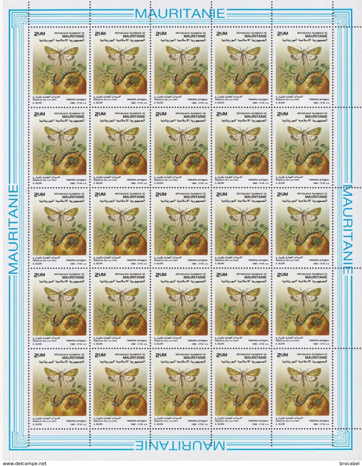 Mauritanie 06..** - Criquets / Parasites - 6 Full Sheet / Feuilles De 25 -Dessin De Buzin -MNH - - Mauritanie (1960-...)