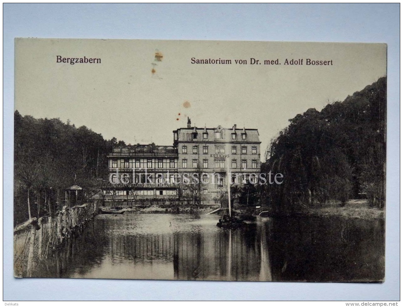 GERMANIA BAD BERGZABERN Sanatorium Dr. Adolf Bossert DEUTSCHLAND AK Old Postcard - Bad Bergzabern