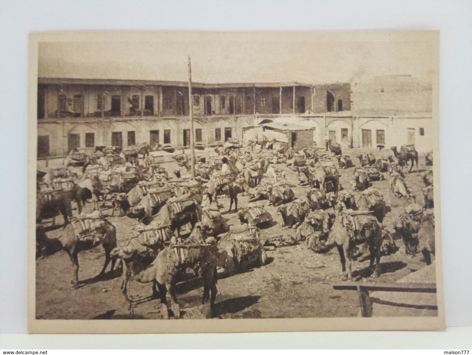 Ashgabat Type Turkmens Bazaar Market Camel - Turkmenistan