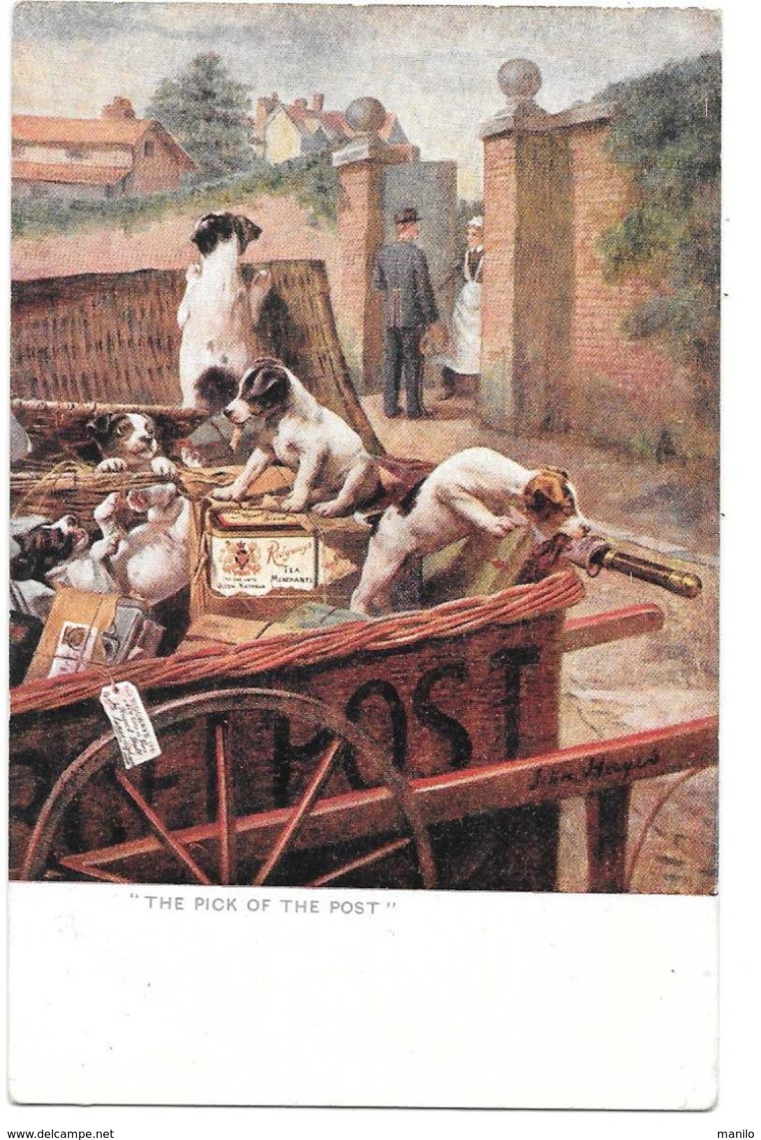 THE PICK OF THE POST -  Par S. HAYES  Les Petits Chiots Profitent De L'absence Du Facteur -expédiée De St Tropez En 1909 - Postal Services