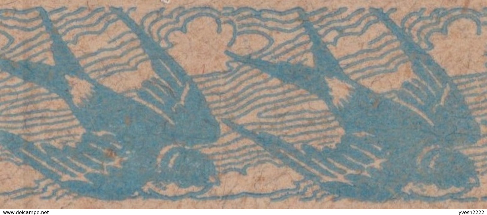 Allemagne 1906. Enveloppe, Entier Timbré Sur Commande. Hirondelles - Swallows