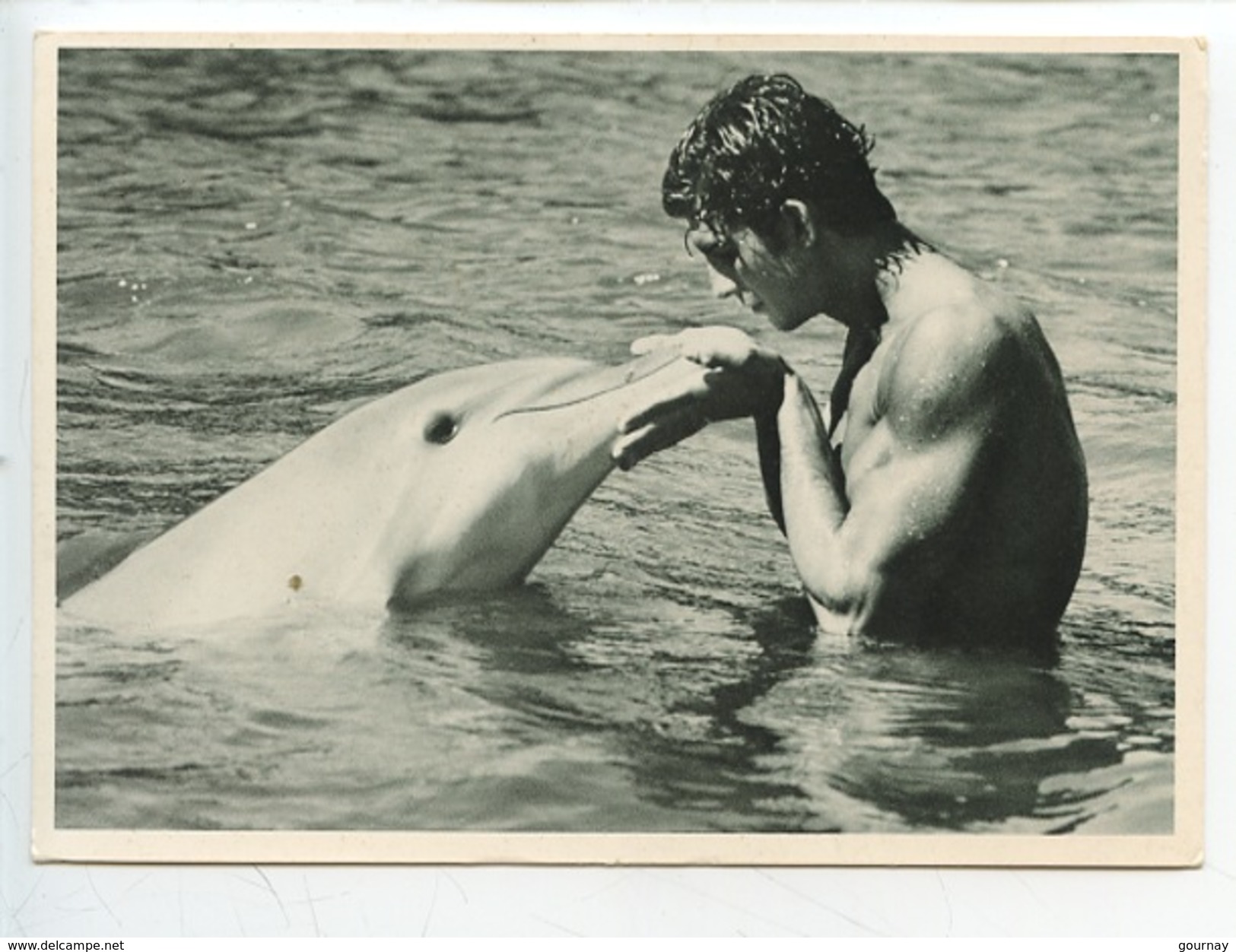 Niels Coogan Photographe 1990 Nestor And Dolphin (Florida Keys) Nestor Et Le Dauphin (cp Vierge) - Autres & Non Classés