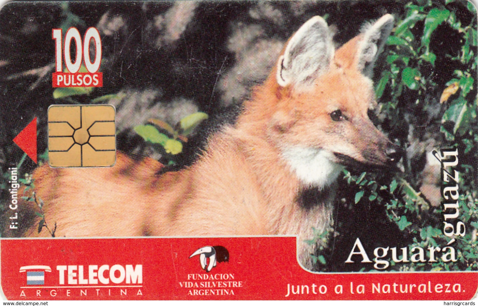 ARGENTINA -  Fox, 10/96, CN: G69,used - Argentina