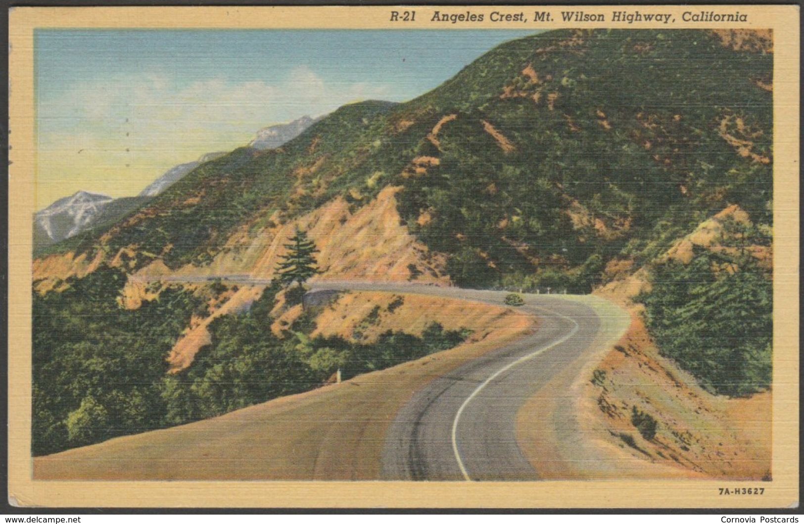 Angeles Crest, Mount Wilson Highway, California, 1952 - Western Publishing & Novelty Co Postcard - Other & Unclassified
