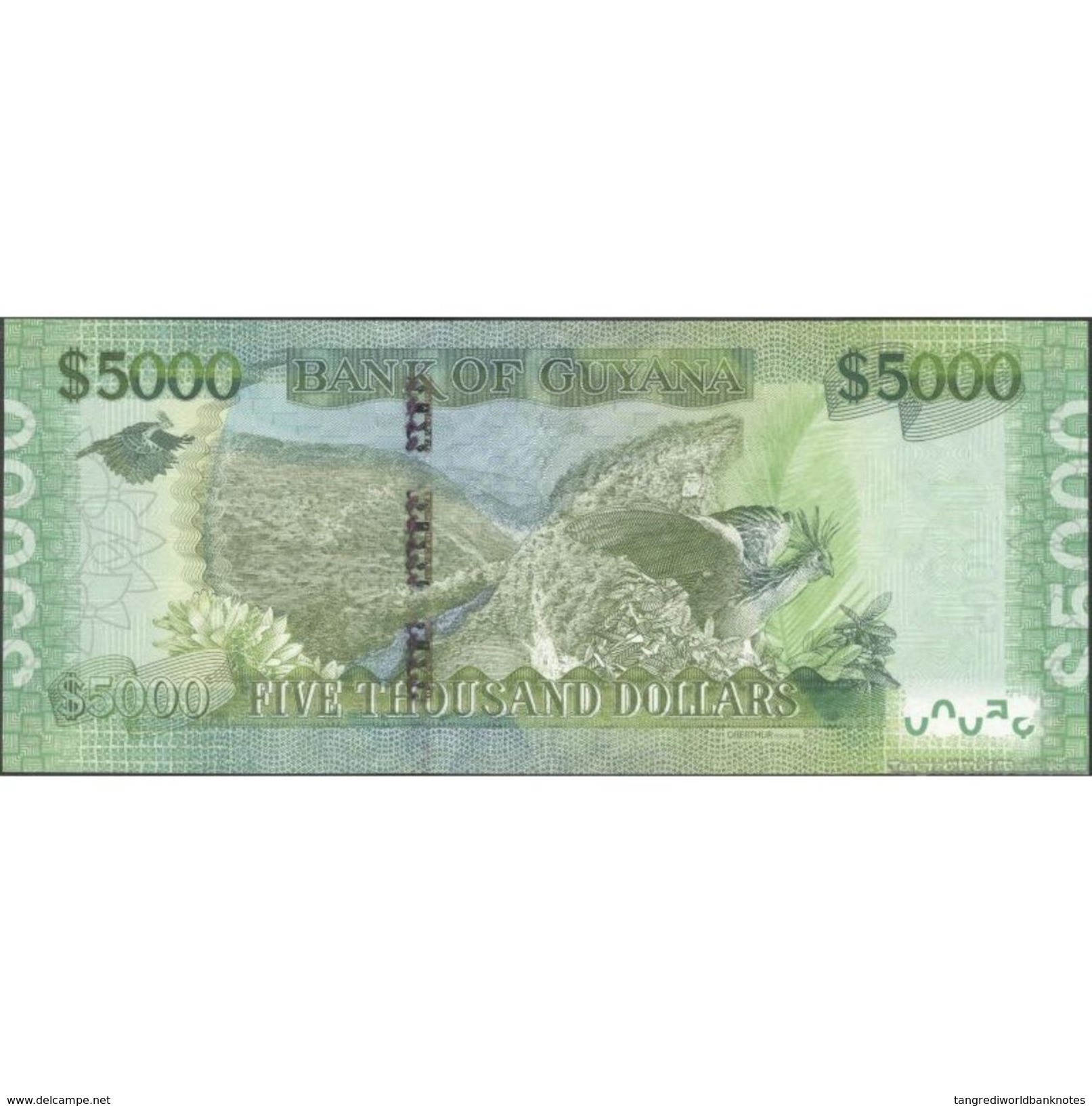 TWN - GUYANA 40 - 5000 5.000 Dollars 2013 Prefix AN - Signatures: Williams & A. Singh UNC - Guyana