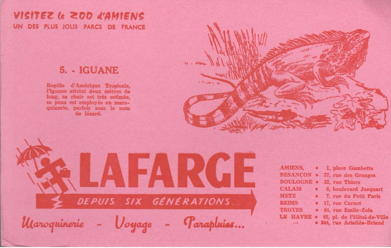 BUVARD ROSE "LAFARGE" - N° 5 IGUANE - Animaux