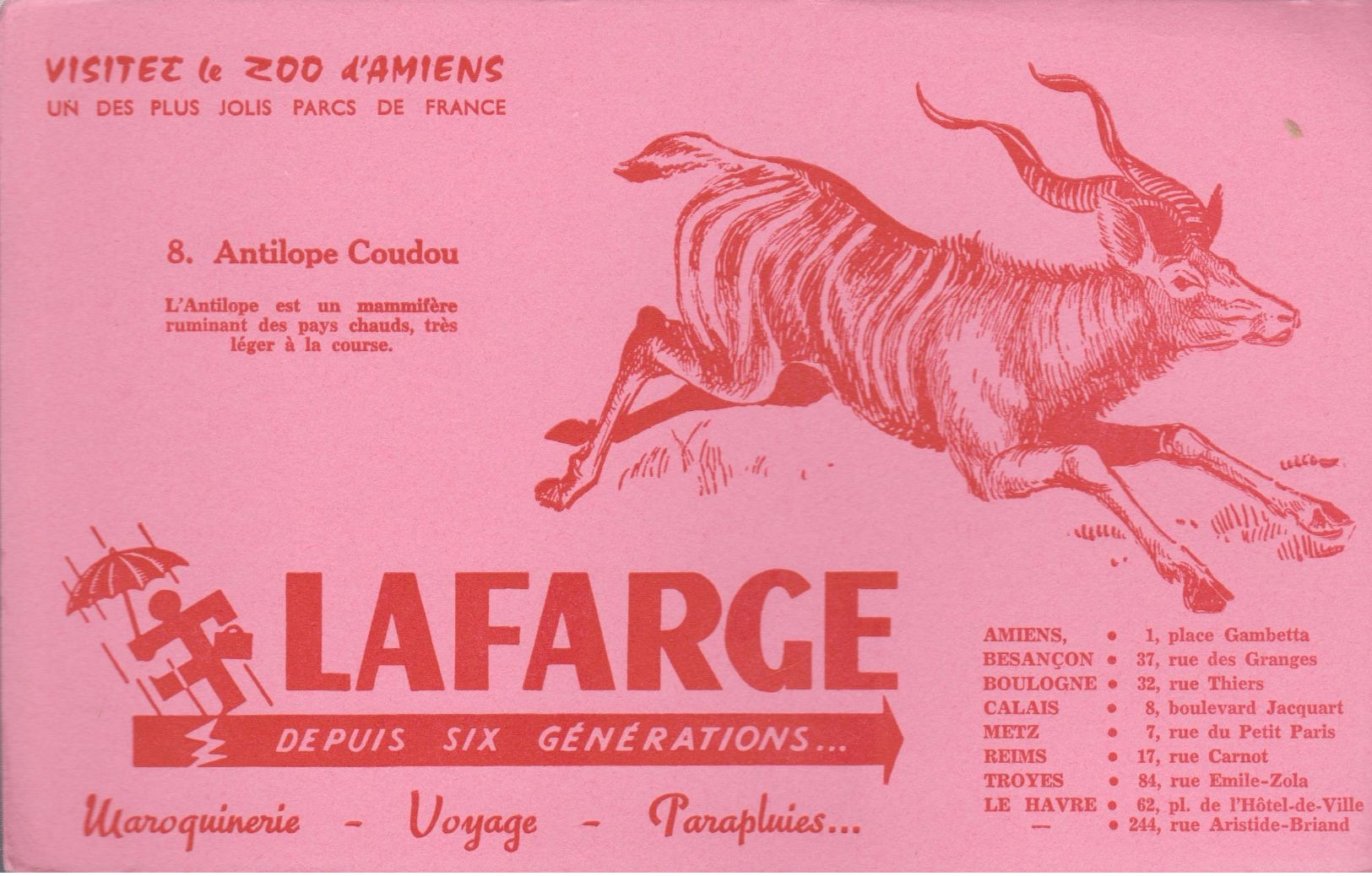 BUVARD ROSE "LAFARGE" - N° 8 ANTILOPE COUDOU - Animaux