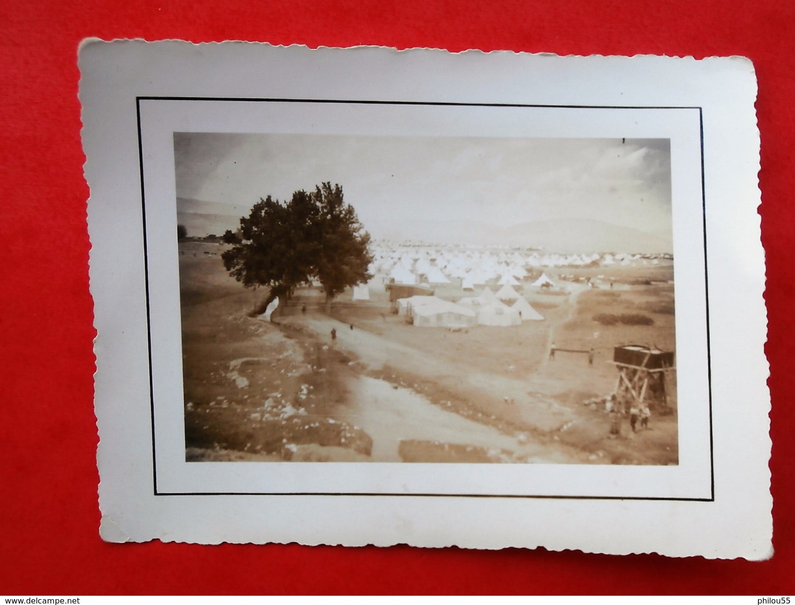 lot de 5 photos ZOUAVES TIRAILLEURS roulante, camp