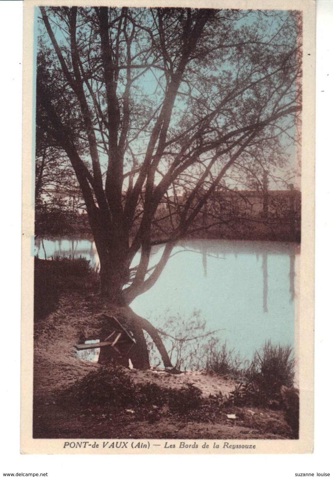 CPA - Coloriée   - Pont-de-Vaux  (Ain)  -  Les Bords De La Reyssouze. - Pont-de-Vaux