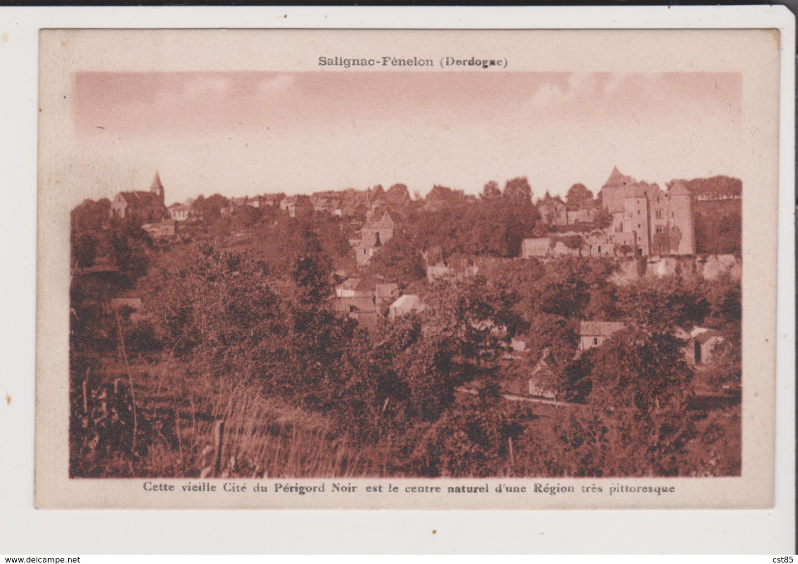 Carte Postale - SALIGNAC FENELON  - Cette Vieille Cité Du Périgord Noir Est Le Centre Naturel D'une Region Très Pittores - Autres & Non Classés