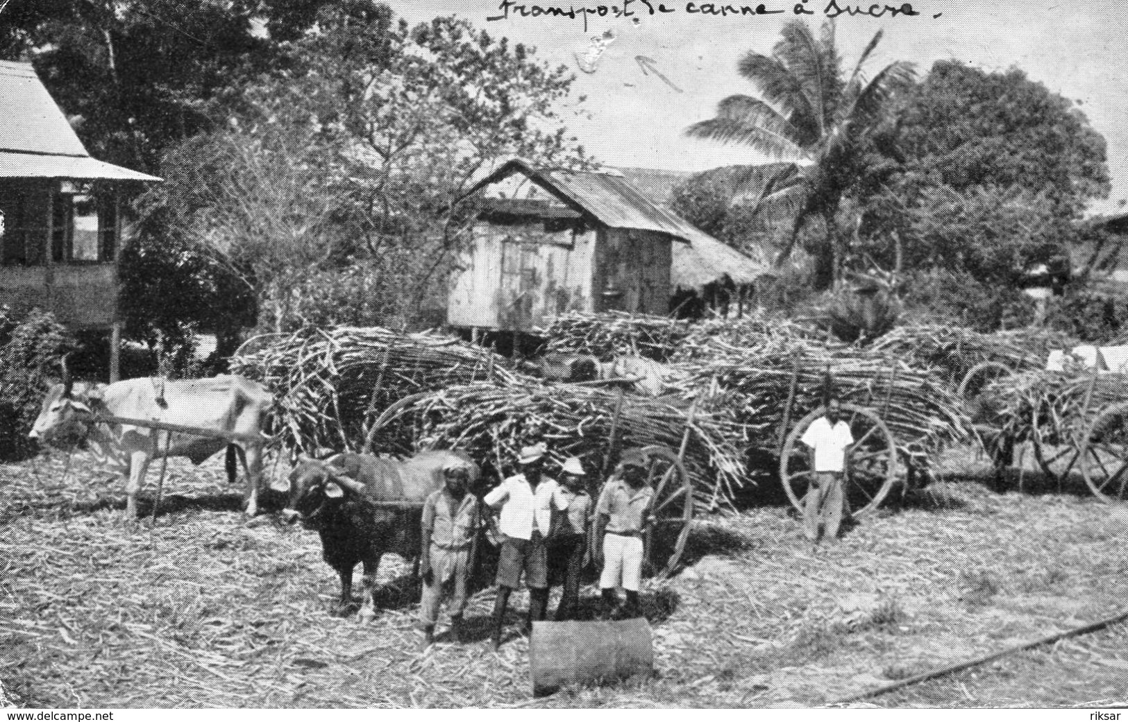 TRINIDAD(SUCRE) - Trinidad