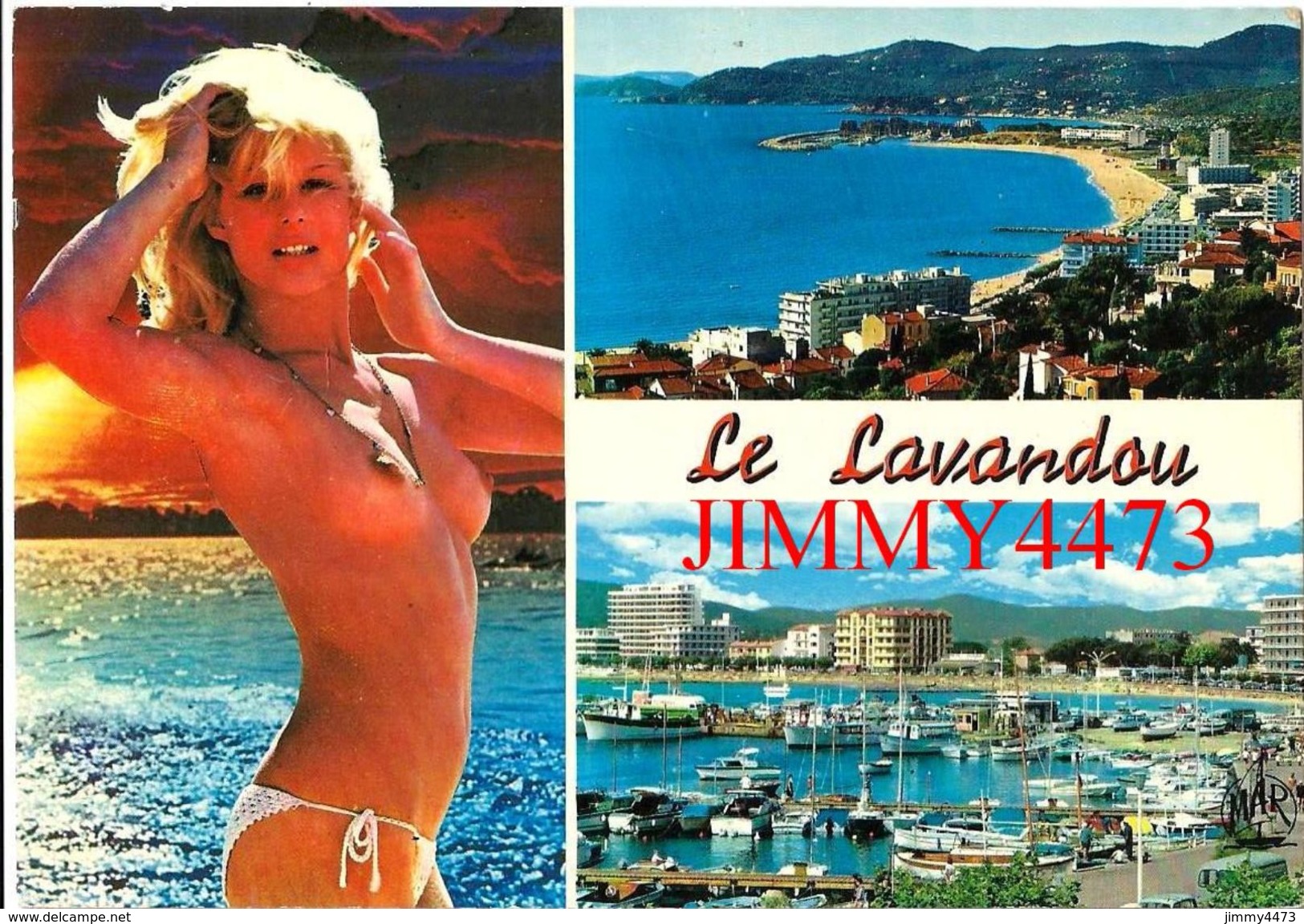 CPM -  JEUNE FEMME AUX SEINS NUS - En 1981 LE LAVANDOU 83 Var  - Scans Recto-Verso - Pin-Ups