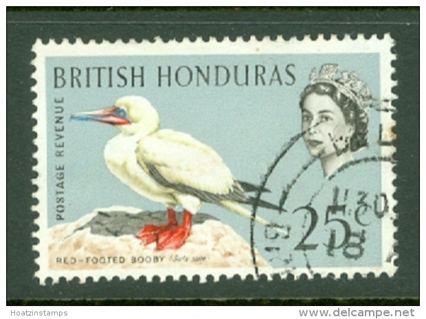 British Honduras: 1962   QE II - Birds   SG209    25c    Used - British Honduras (...-1970)