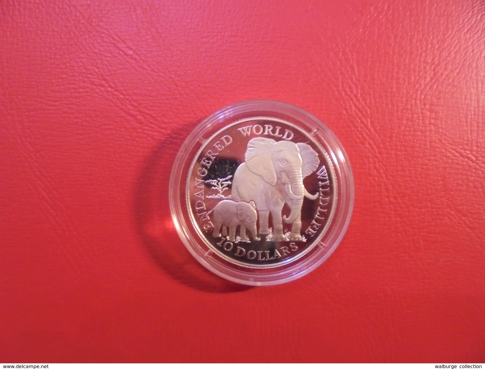 COOK 10$ 1990 ARGENT "PROOF" "ELEPHANT" - Cook Islands