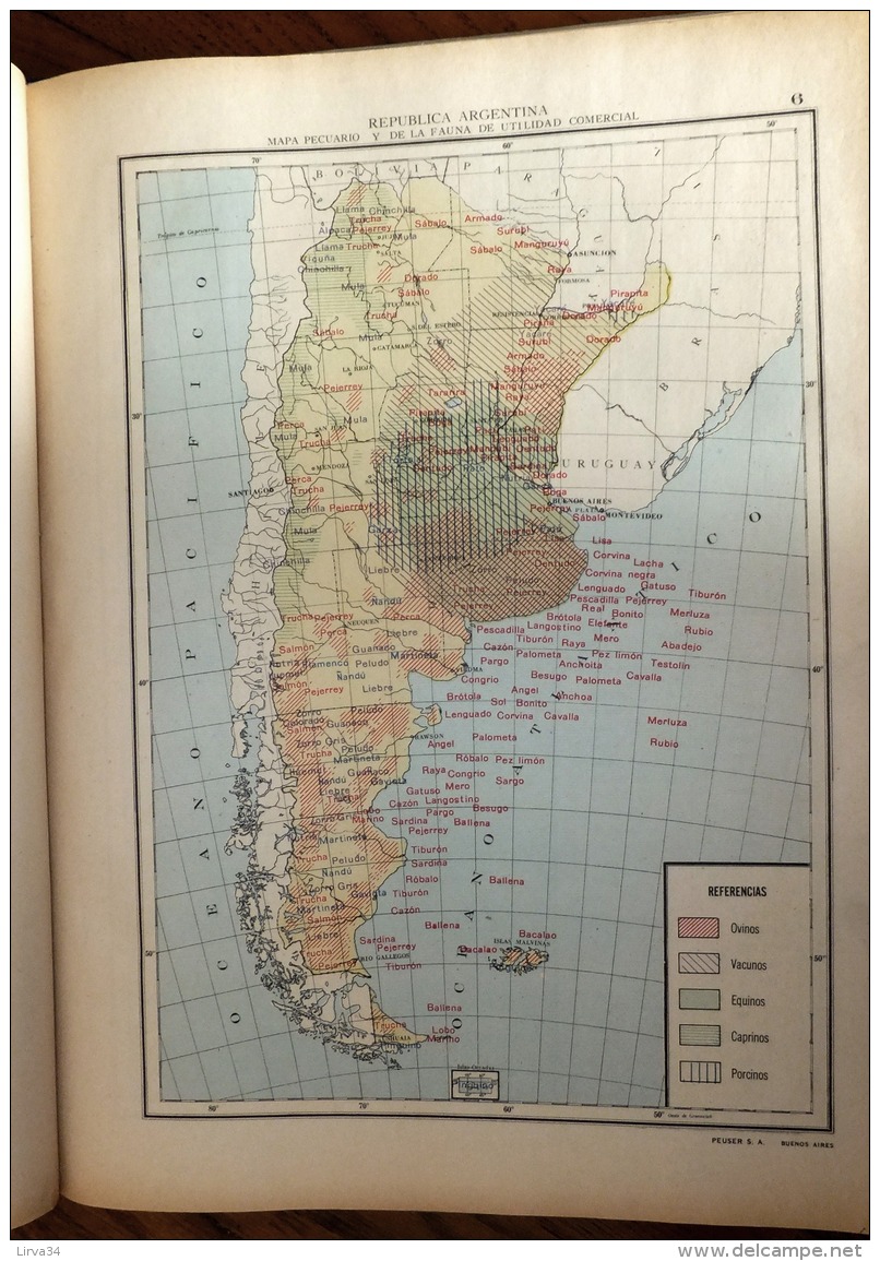 MAGNIFIQUE ATLAS COULEUR- ARGENTINE 1945- UN DOCUMENT EXCEPTIONEL DE GRANDE QUALITÉ- 18 SCANS