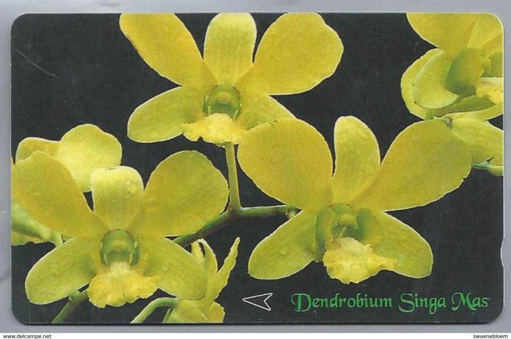 SG.- SINGAPORE TELECOM. $ 10. - Dendrobium Singa Mas.- 83SIGA -. 2 Scans. - Bloemen