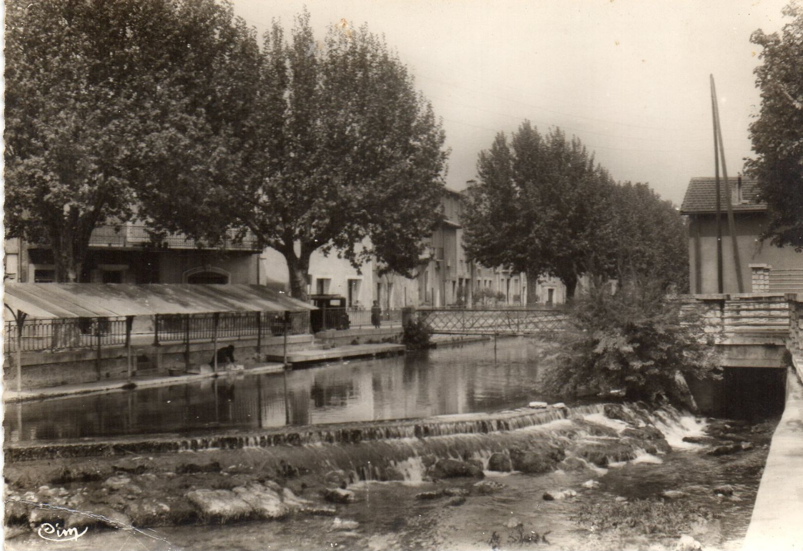 CP  LES BORDS DE LA SORGUE    D357 - L'Isle Sur Sorgue