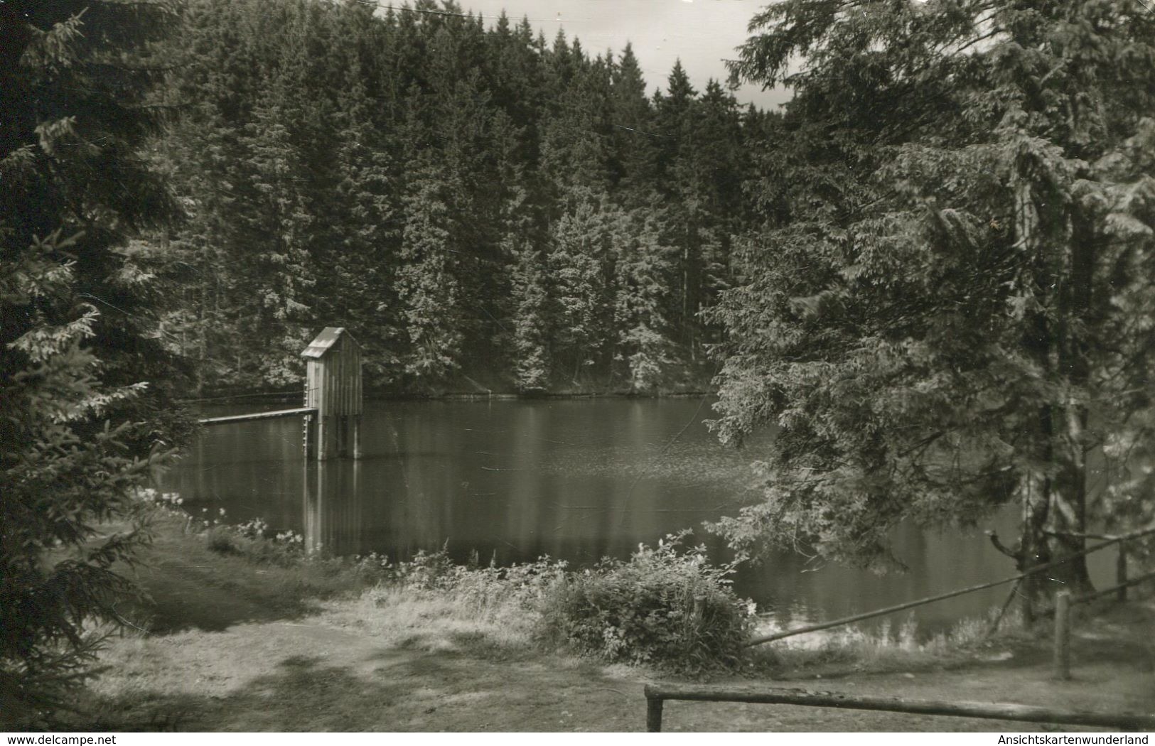 Klimat. Höhenluftkurort Wildemann - Oberer Spiegeltaler Teich 1963 (002425) - Clausthal-Zellerfeld