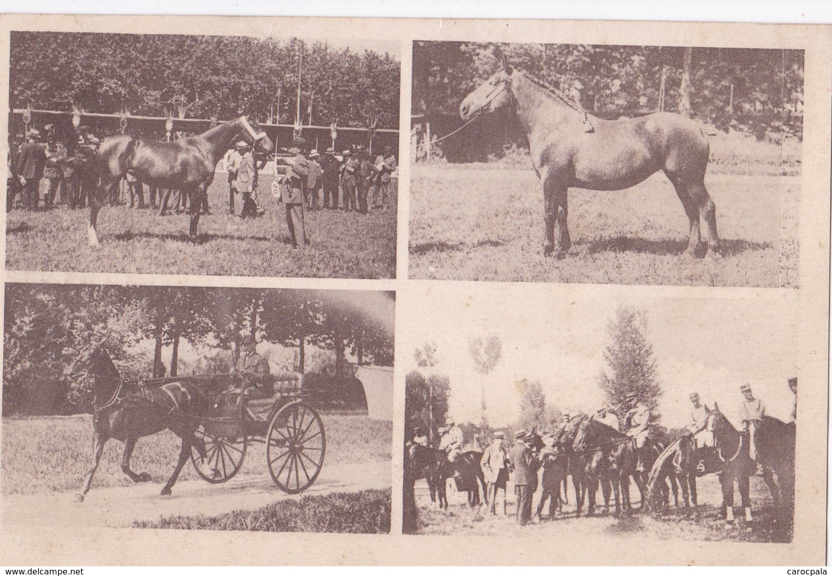 Carte 1920 MULTIVUES CHEVAUX DE COURSES / STEEPLE CHASE / COURSES D'OBSTACLES - Pferde
